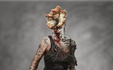 Infected_female_hn_03f_24567-nphd